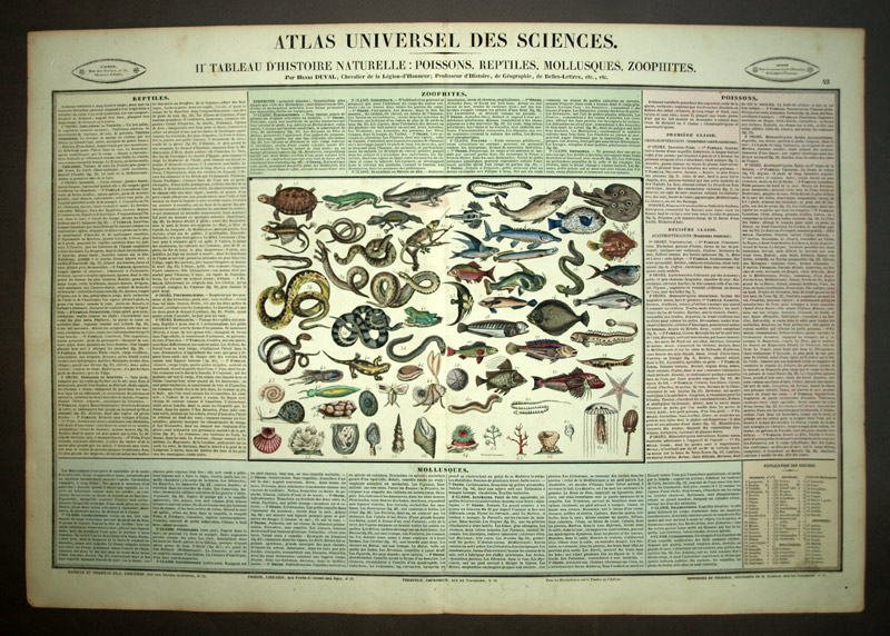 TABLEAU HISTOIRE NATURELLE DES POISSONS REPTILES MOLLUSQUES ET ZOOPHITES 1837 