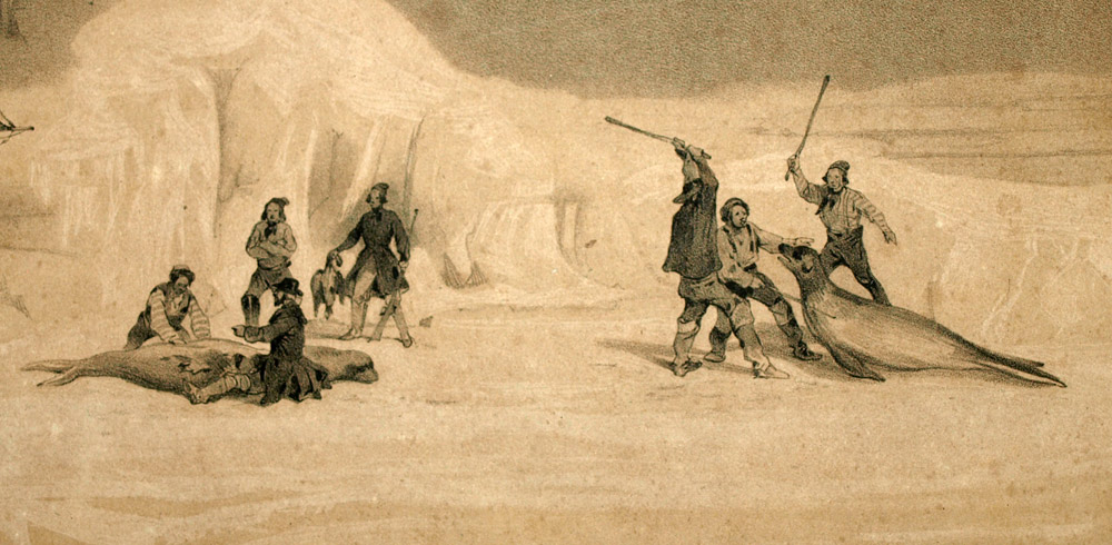 THE SEAL HUNT ON FEBRUARY 6, 1838 Original lithograph by Sabatier 