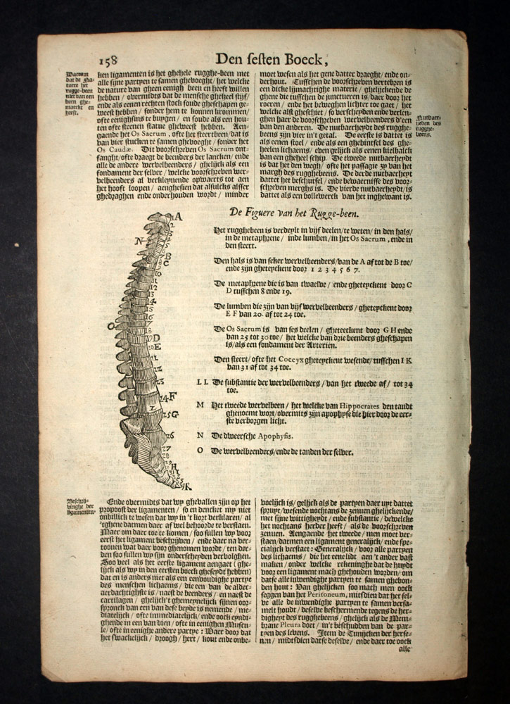 Gravure tir&eacute;e de PAR&Eacute; Ambroise ANATOMIE OS DU DOS, VERTEBRES, COLONNE VERT&Eacute;BRALE 