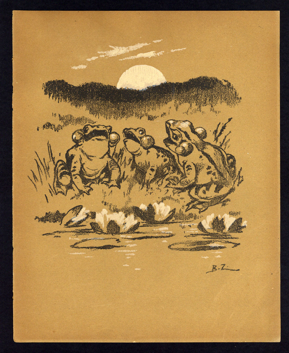 LE CHANT DES GRENOUILLES BATRACIEN Tirage lithographie gravure image de 1923 