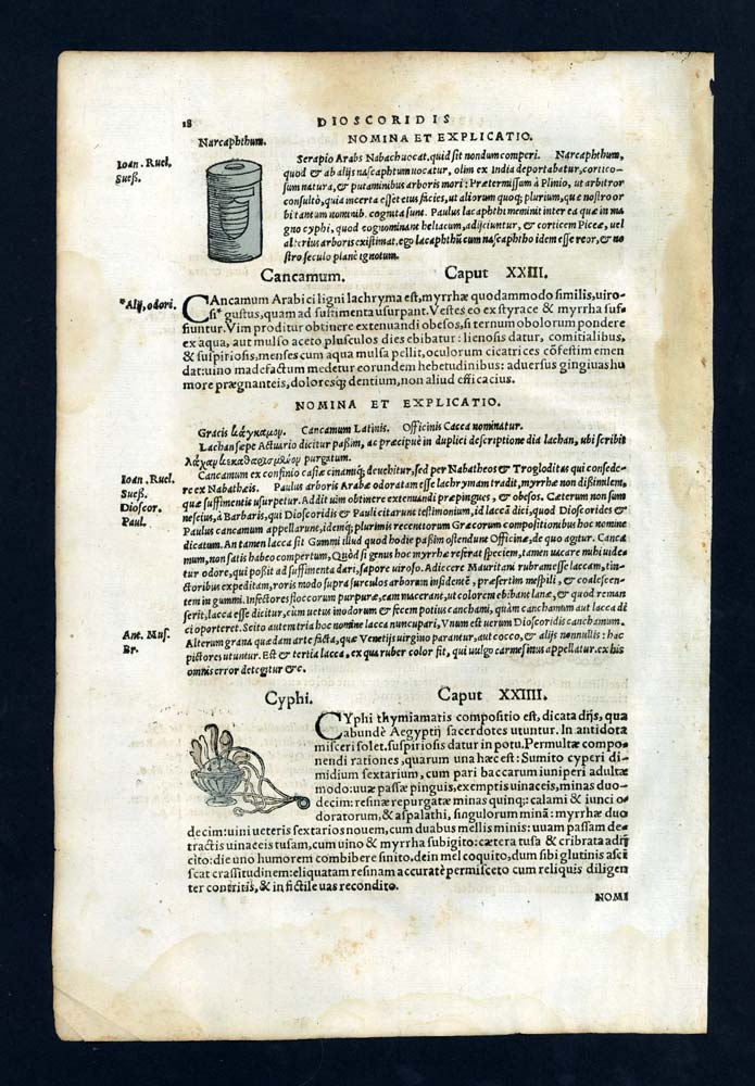 engraving Illustration print 1543 Usnée Lichen, Calambac or Oud wood engraving Illustration print 1543 Usnée Lichen, Calambac or Oud wood