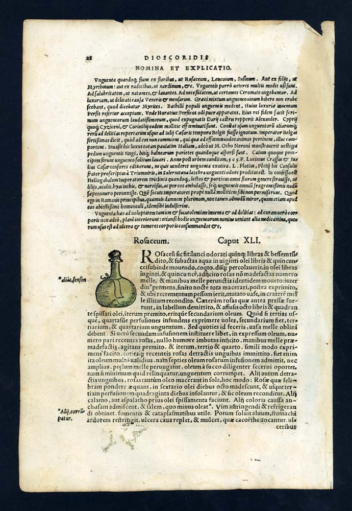 Grabado Parar ilustración antiguo 1543 composición diferente de ungüento 