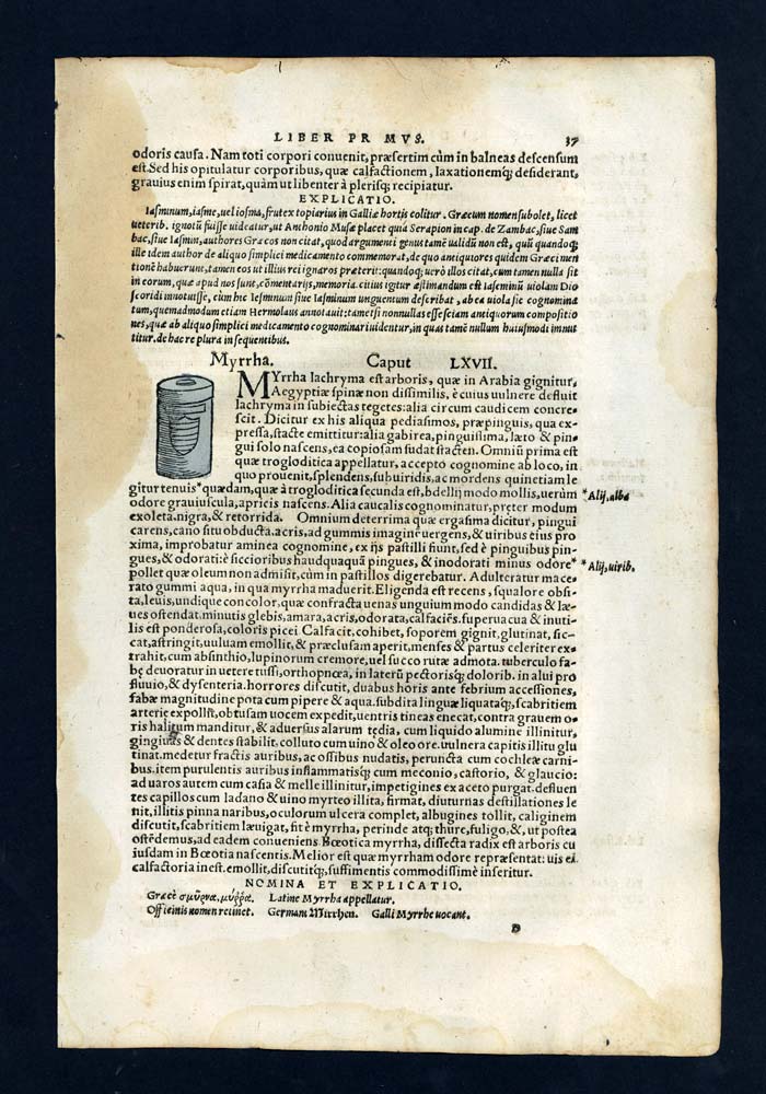 Gravure estampe illustration ancienne de 1543, LE BAUME ONGUENT DE MYRRHE 