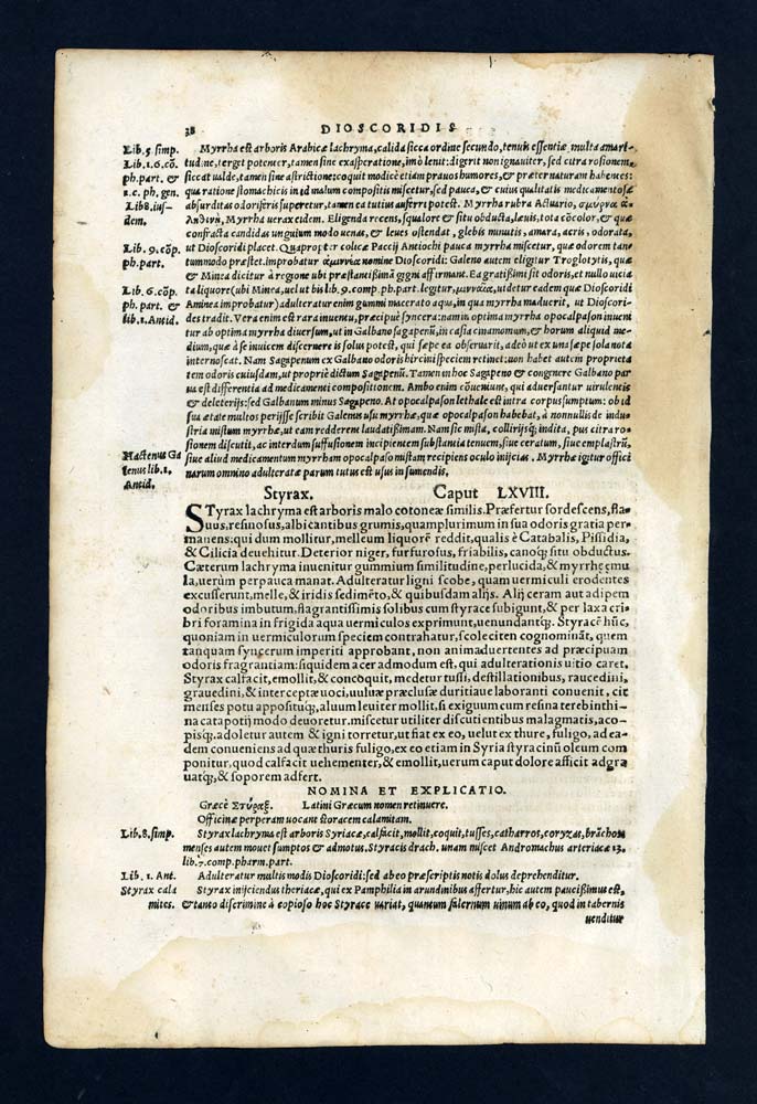 Gravure estampe illustration ancienne de 1543, LE BAUME ONGUENT DE MYRRHE 
