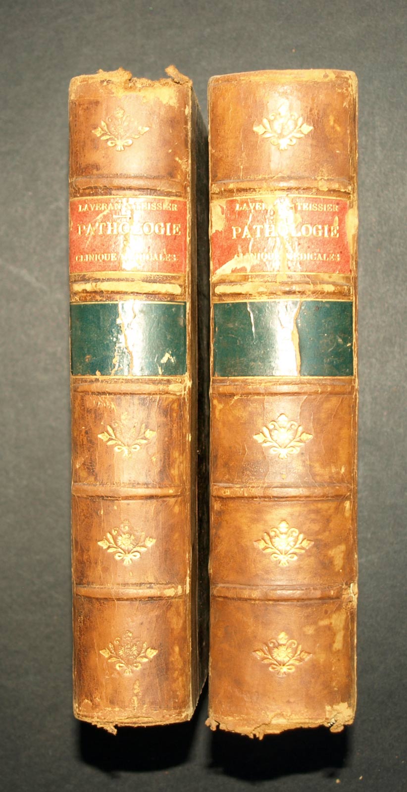 Nuovi elementi di patologia e CLINIQUE medica, Alphonse Laveran 1883 