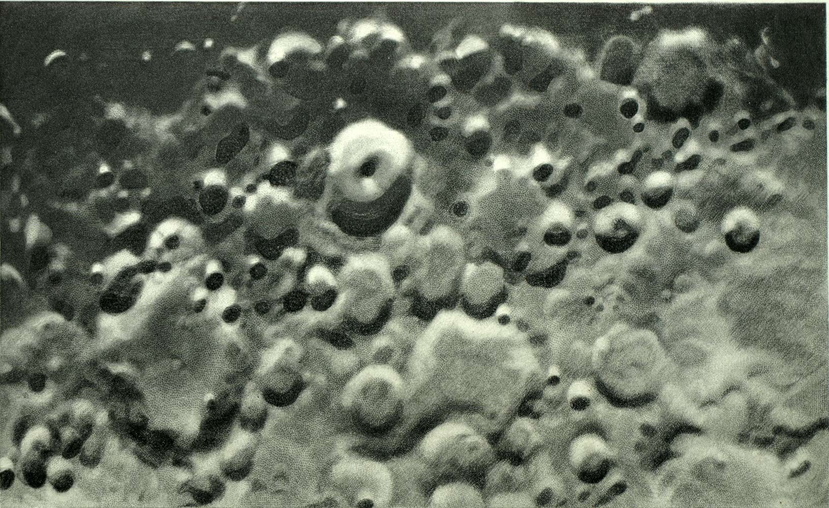 Heliogrammfoto der Oberfläche des Mondes, aufgenommen von einem Teleskop 1877 