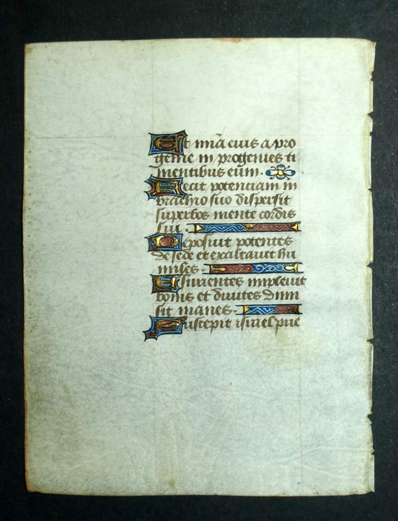 MANUSCRIT ORIGINALE SUR PARCHEMIN V&Eacute;LIN enluminure ancienne du XVeme moyen age 