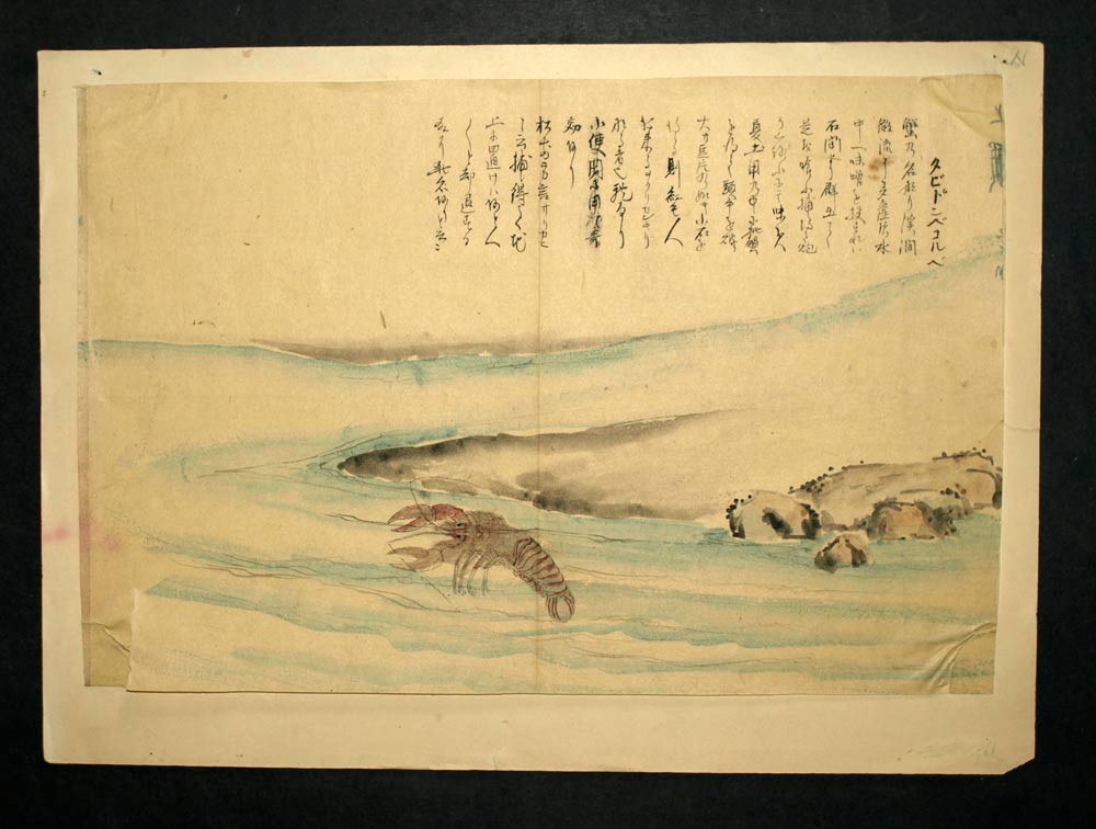 DESSIN JAPONAIS A L'ENCRE, période Edo tardive XIXeme, l'écrevisse d'eau douce 