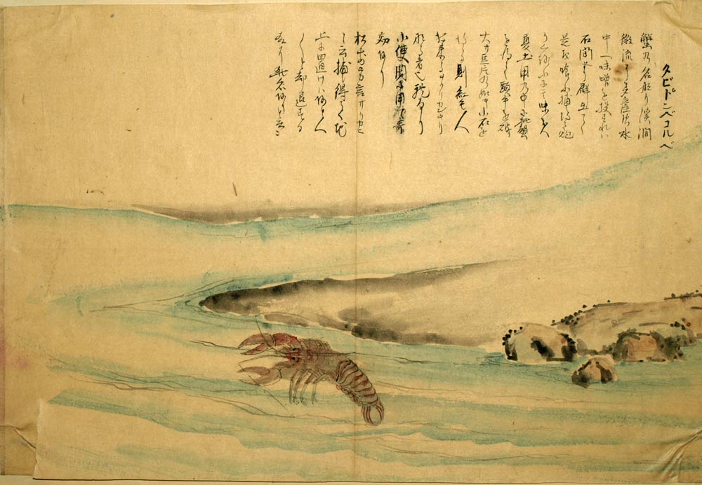 DESSIN JAPONAIS A L'ENCRE, période Edo tardive XIXeme, l'écrevisse d'eau douce 