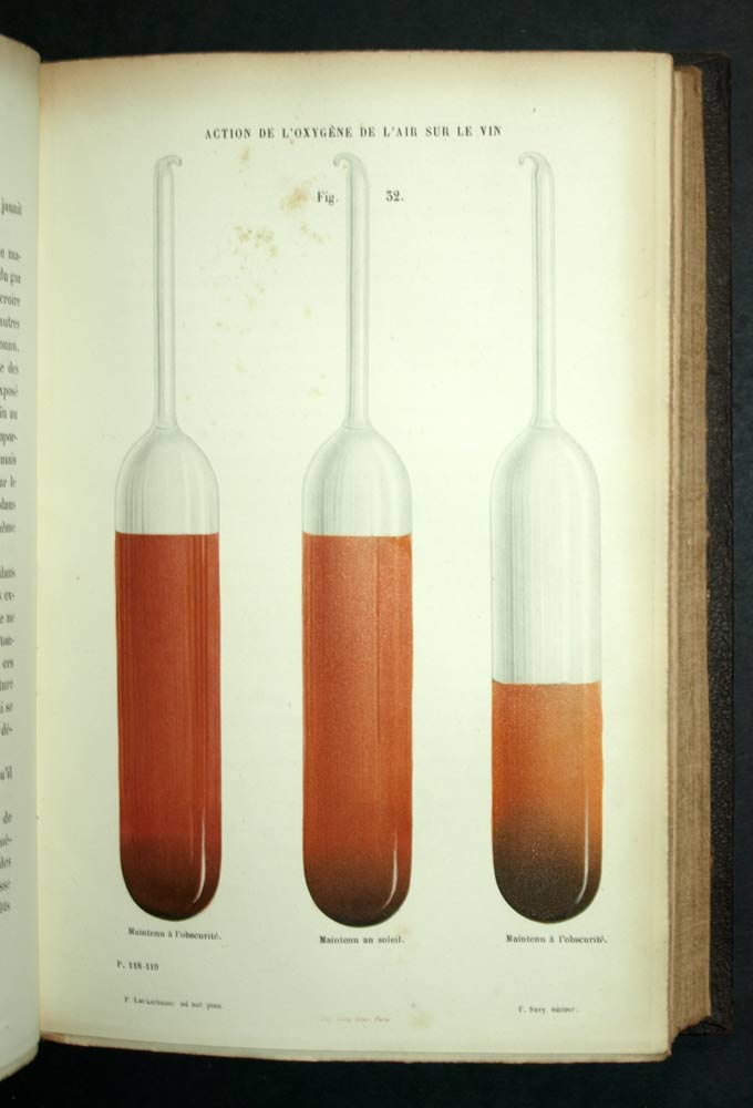 ÉTUDES SUR LE VIN par Louis Pasteur 1873, recherche œnologie et microbiologie ÉTUDES SUR LE VIN par Louis Pasteur 1873, recherche œnologie et microbiologie