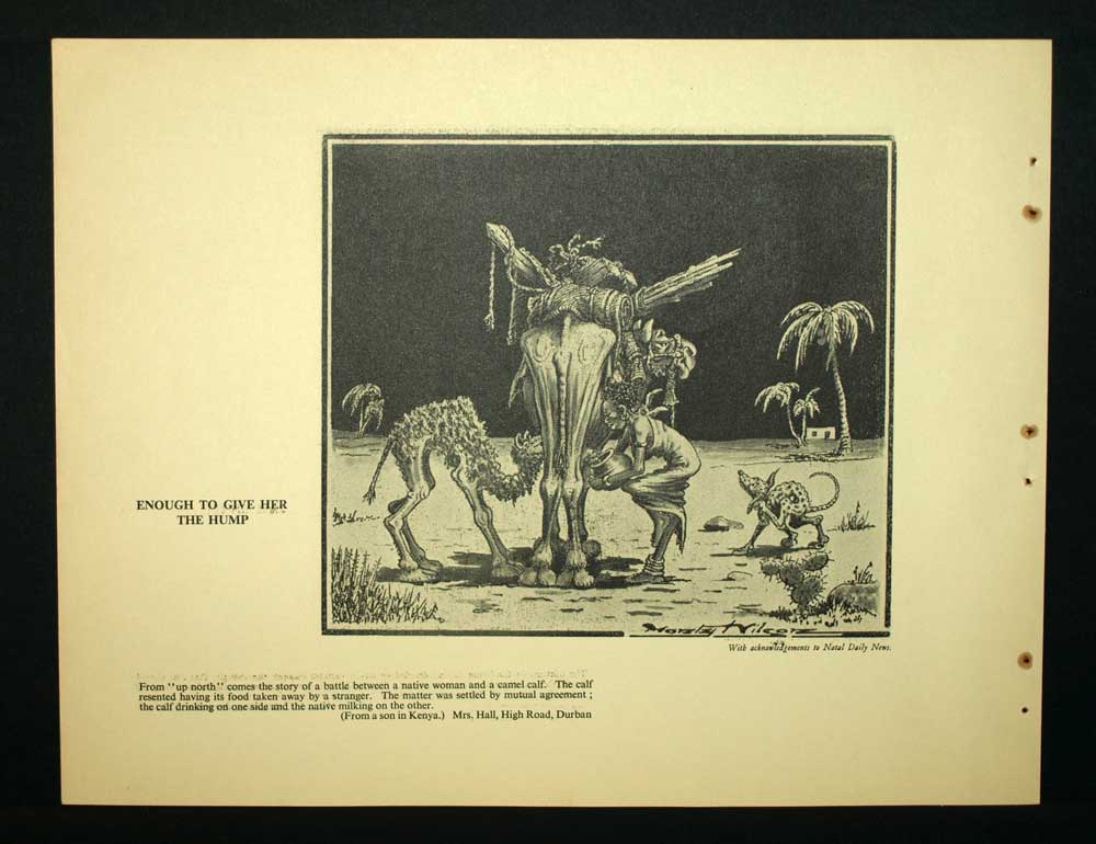 CHAMELLE ET CHAMEAU gravure illustration de l'apartheid racisme Afrique du Sud CHAMELLE ET CHAMEAU gravure illustration de l'apartheid racisme Afrique du Sud