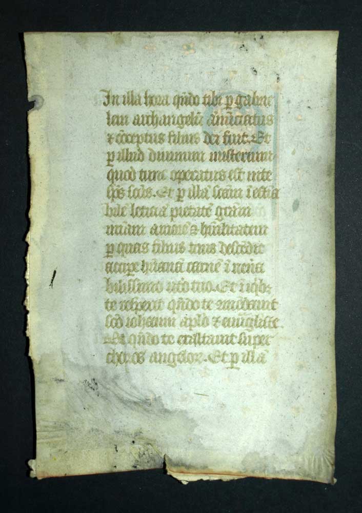Enluminure lettrine du XVeme, MANUSCRIT ORIGINALE RELIGIEUX SUR PARCHEMIN V&Eacute;LIN 
